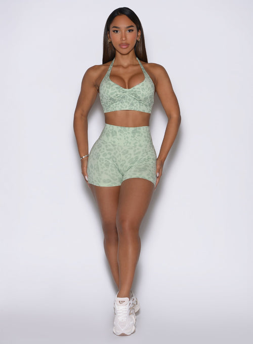 Flexfit Shorts